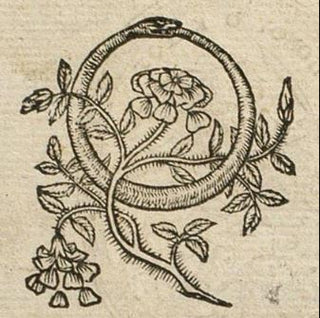 Rites of Spring