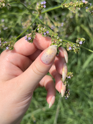 Warding