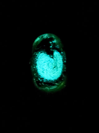 Blue Moon - ARCHIVED